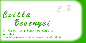 csilla besenyei business card